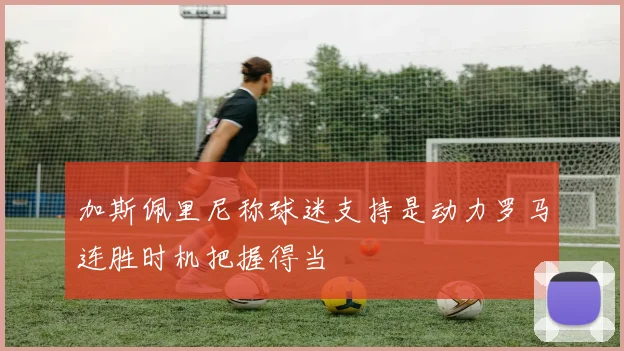 加斯佩里尼称球迷支持是动力罗马连胜时机把握得当